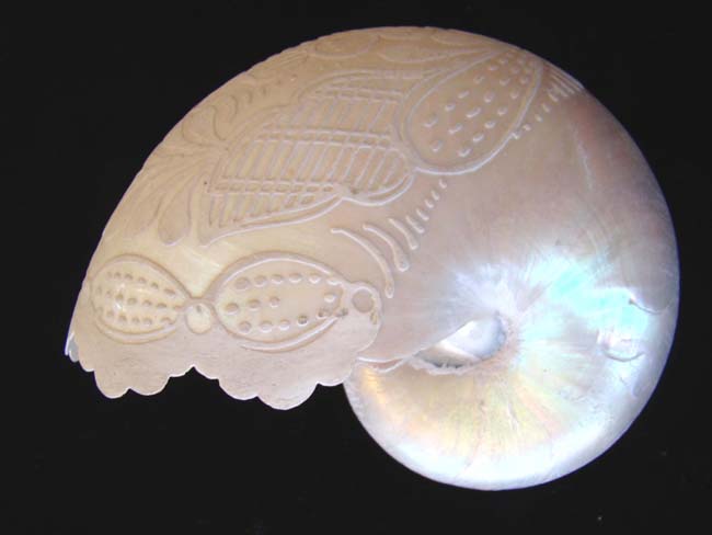 A 19th century Chinese carved Nautilus shell — image 2